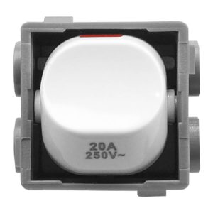 20a double pole mech