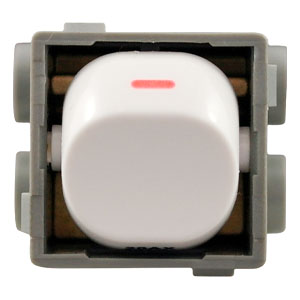 32A Double Pole Mech 250V AC